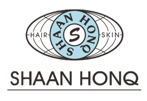 昇宏 ShaanHonq logo